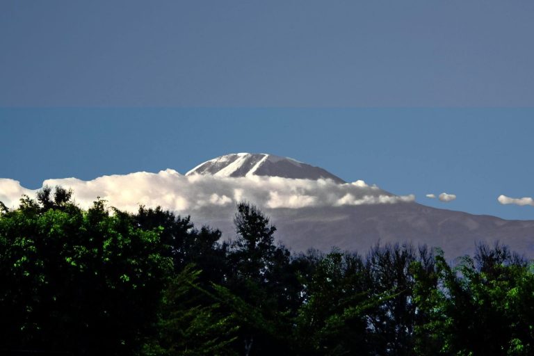 Kilimanjaro 2